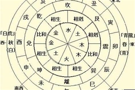 八字地支怎麼看